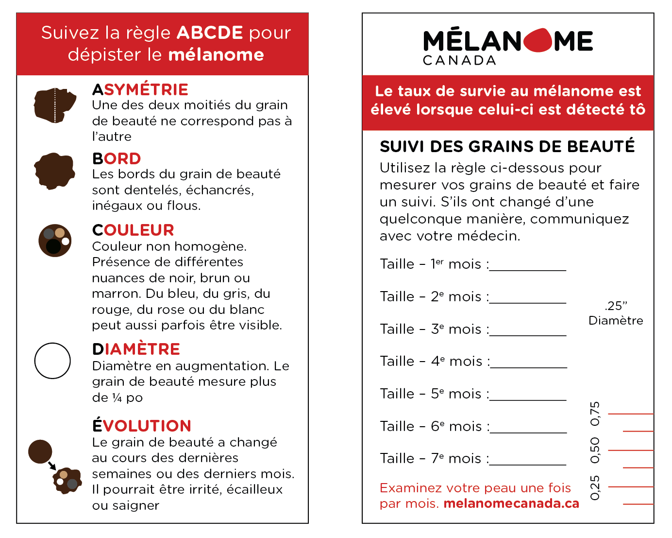 Mole Tracking Guide PDF